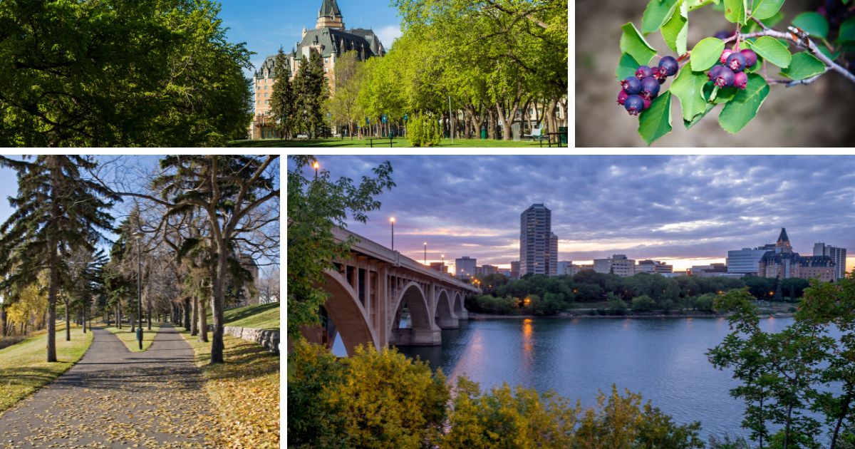 Guide to Saskatoon Tourist Attractions in 2024