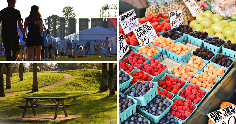 Best Free Things to Do in Saskatoon: 10 Budget-Friendly Attractions and Activities